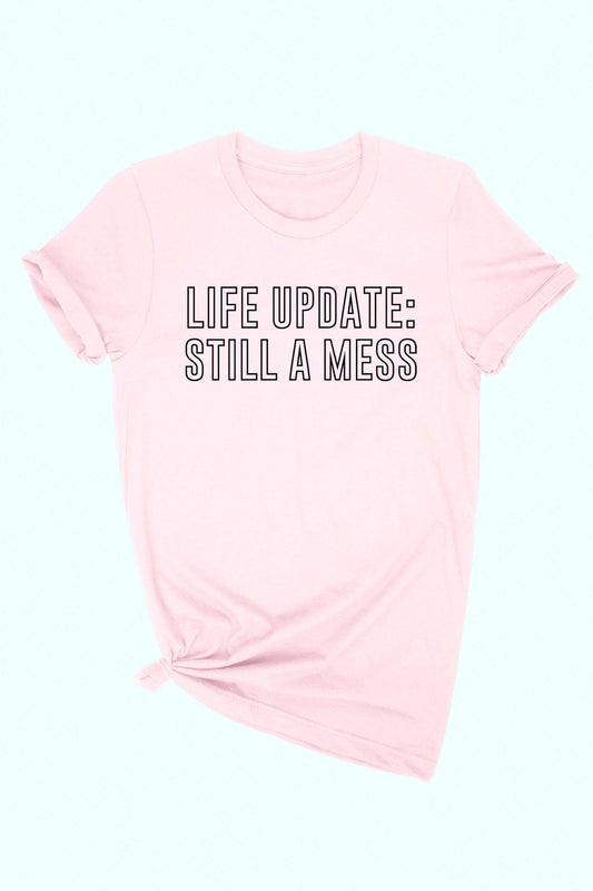 Life Update Still A Mess Graphic Tee Wildflowers & Denim
