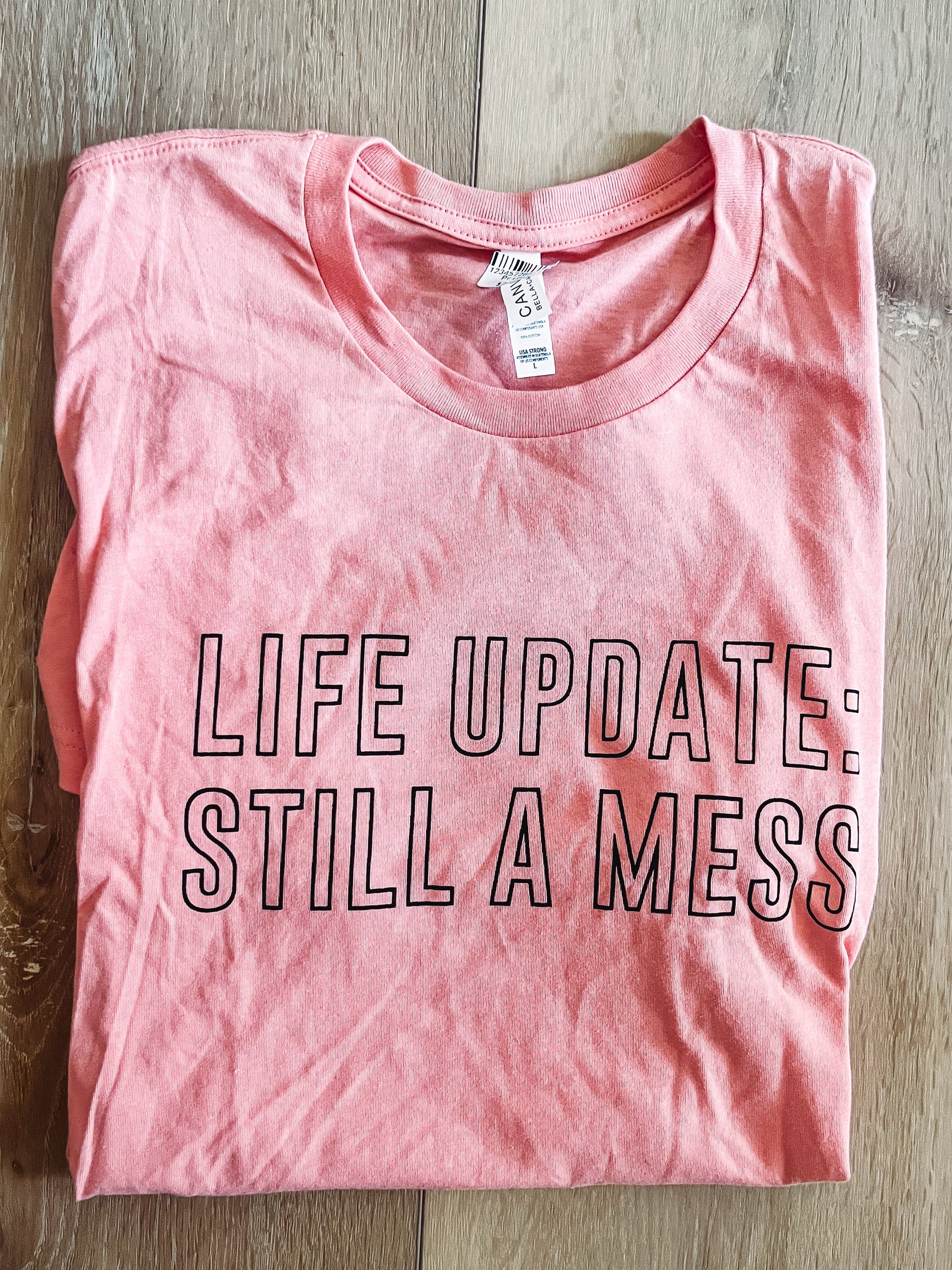 Life Update Still A Mess Graphic Tee Wildflowers & Denim